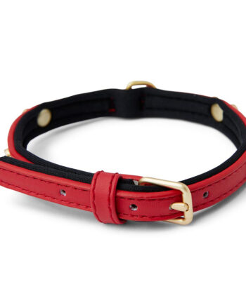 Pets at Home Faux Leather Bone Stud Dog Collar Red