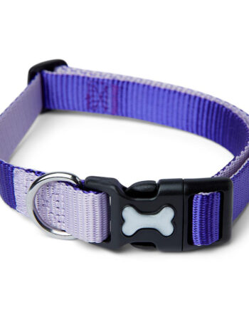 Pets at Home Dual Colour Dog Collar Purple