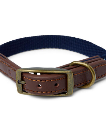 Wainwright's Leather Trim Dog Collar Navy