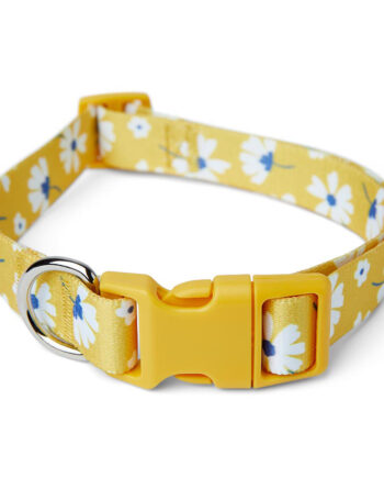 Pets at Home Daisy Print Dog Collar Yellow