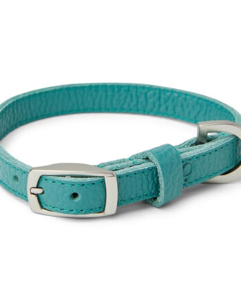 Noble Handcrafted Straight Leather Dog Collar Green
