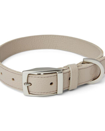 Noble Handcrafted Straight Leather Dog Collar Putty